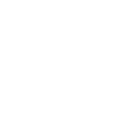 Bcaa header icon