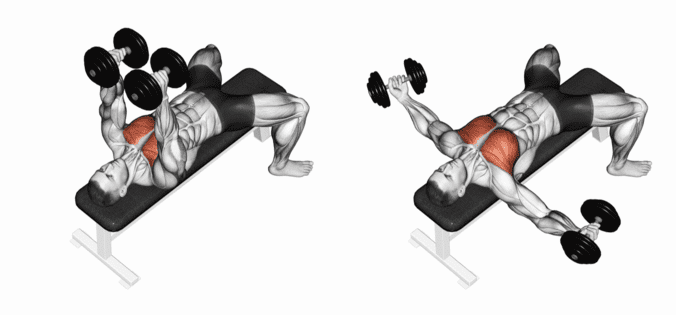 Uitvoering dumbbell chest fly