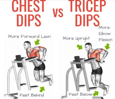 Chest dips vs. Tricep dips