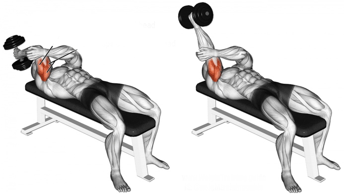 Uitvoering lying unilateral dumbbell skullcrusher