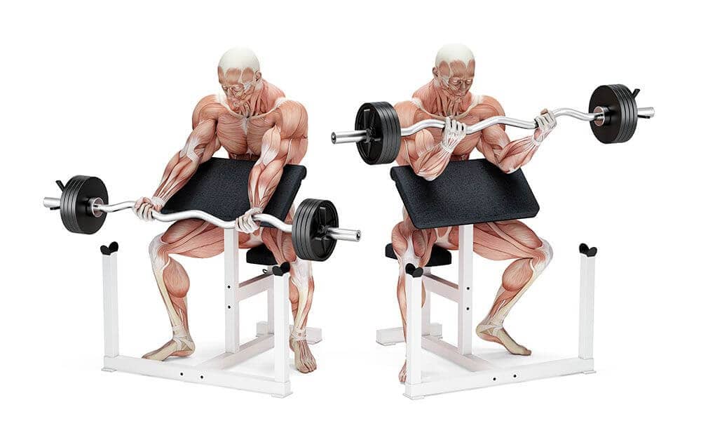 EZ Bar preacher curl uitvoering