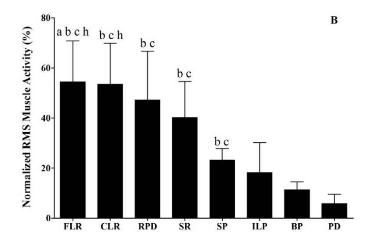 Activatie in lateral deltoids diagram uit onderzoek van Cíntia Ehlers Botton Medicina Sportiva