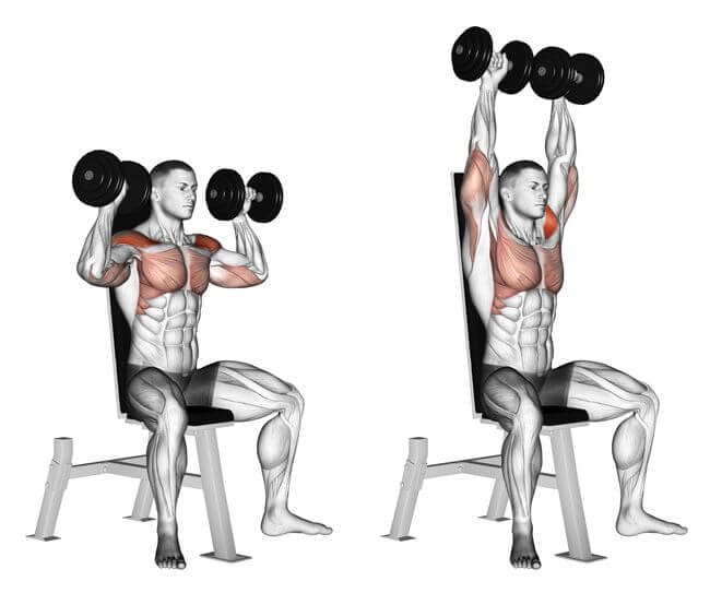 Dumbbell shoulder press uitvoering